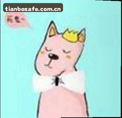 赵宇